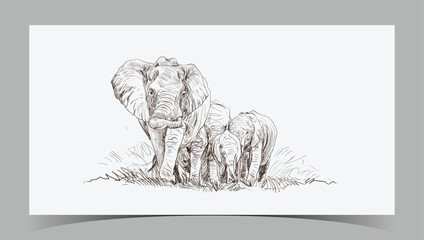 elephant line Art Vector Photos.