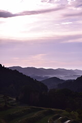 朝日に照らされた初夏の棚田