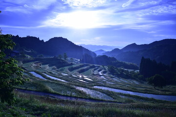 朝日に照らされた初夏の棚田