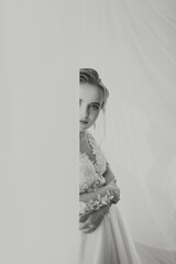 Beautiful bride. Wedding hairstyle - on a white background. Close-up portrait of a young gorgeous bride. Wedding. Portrait of a beautiful bride wrapped in a veil