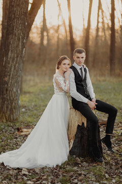 Wedding photo in nature. The groom sits on a wooden stand, the bride stands next to him, leaning on his shoulder. Portrait of the bride and groom