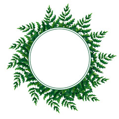 Frame with fern watercolor hand painted illustration in green colors, greenery branch, twig, stem, forest plant isolated on white background for wall art. Clip art for design