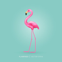Pink Flamingo bird vector design isolated on light green pastel background