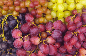 Many kinds of grapes close up. Grape background.