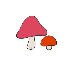 mushroom sugarycitrine