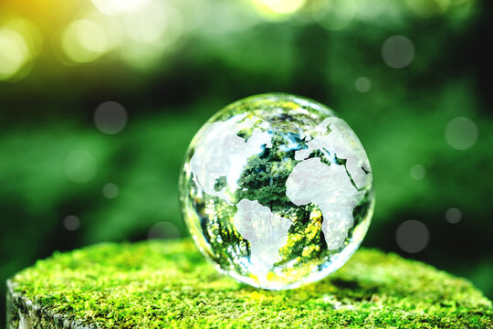 Globe Glass on green Moss in forest Environment, save world, earth day and conservation Concept.