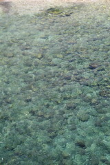 Polignano a Mare, Italie