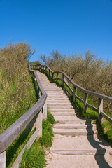 Fototapeta na wymiar Steps Leading To The Top Of The Planted Dune