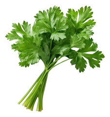 Parsley vegetable isolated. Generative AI.