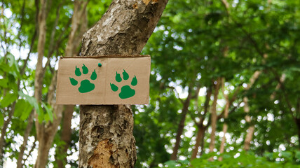 Brown paper sign on a tree trunk with tiger footprints, concept for animals, forests and environment saving and preservation                                                             