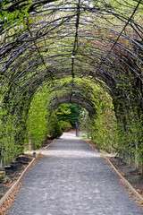 An arbor at the Snug Harbor Cultural Center and Botanical Garden, on Staten Island, New York.