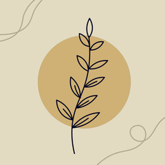 illustration of a leaf