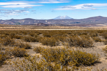 Landscape shot of the Argentinian Pampa in the Province Neuquén - Traveling South America
