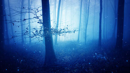 Obraz premium Mystic foggy dark blue fairy tale forest landscape with magic tree.