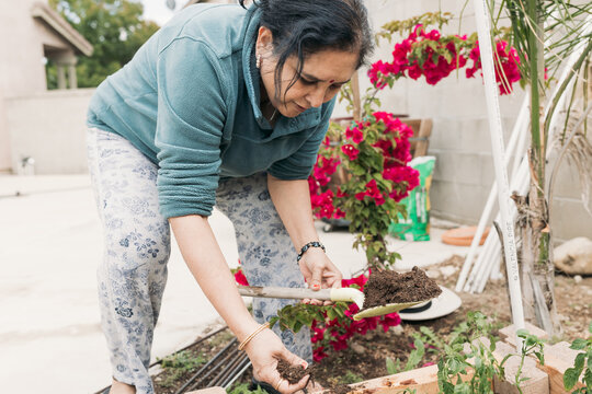South Asian woman gardening in backyard 