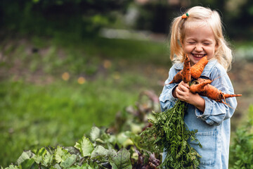 Adorable toddler smiling blonde girl holding carrots in domestic garden. Healthy organic vegetables...