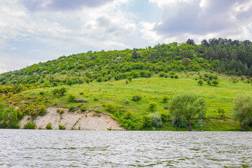 Obraz premium landscape with river and forest
