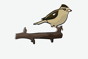 Illustration bird on the branch vector