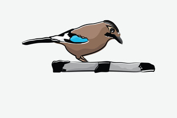 Illustration bird on the branch vector