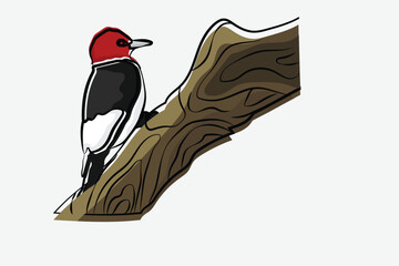 Illustration bird on the branch vector