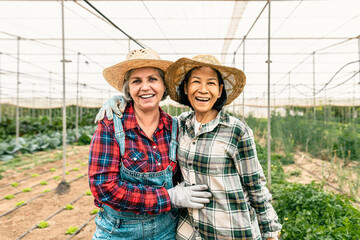 Happy multiracial women farmers smiling at the camera while working inside agricultural greenhouse - Farm people lifestyle concept © Alessandro Biascioli