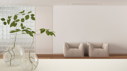 White table top or shelf with glass vase with hydroponic plant, ornament, root of plant in water, branch in vase, sitting waiting room with grass brick wall, interior design