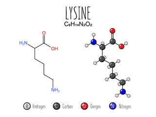 Lysine amino acid representation. Skeletal formula and 2d structure illustration, isolated on white background. Vector editable