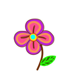 flower isolated on white