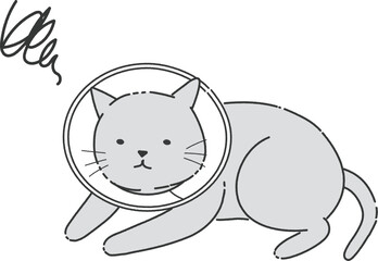 エリザベスカラーを着けられ、困った顔の猫