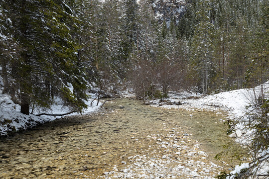 Winter landscape with the Rienz River in Toblach, Dolomites, Italy