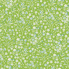 Seamless floral pattern for design. Small white flowers. Green background. Modern floral texture. Floral pattern all over the body. An elegant template for fashionable prints.