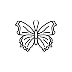 Butterfly black line icon.