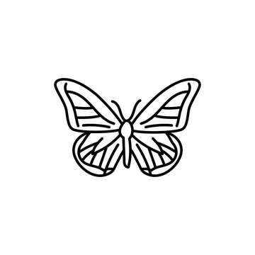 Butterfly black line icon.