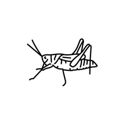 Grasshopper black line icon.