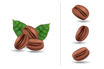Vector realistic illustration of coffee beans with coffee tree leaves on a white background