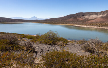 Oasis along the famous Ruta40 near Malargüe, Argentina - Traveling South America