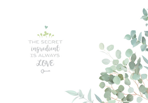 Herbal eucalyptus selection vector frame. Hand painted branches, leaves on white background