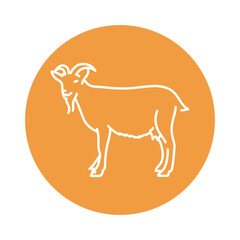 Goat black line icon. Farm animals.