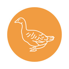 Goose black line icon. Farm animals.