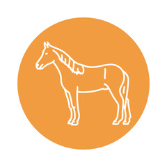 Horse black line icon. Farm animals.