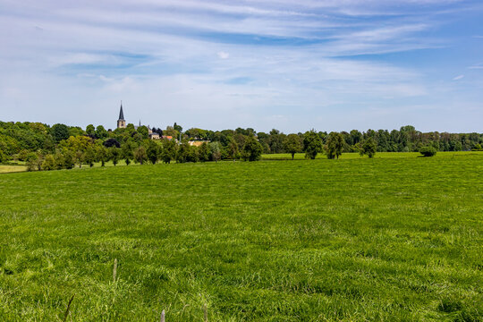 Dutch open plain with wild grass, leafy trees and bell tower at village church in background against blue sky, sunny spring day in Bemelerberg nature reserve, South Limburg in the Netherlands