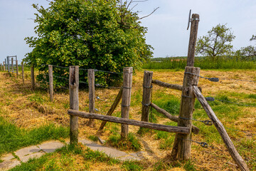 Fence of wooden posts and barbed wire at entrance to nature reserve Riverpark de Borgharen Maasvallei, yellowish wild grass, Dutch countryside in background, sunny day in South Limburg, Netherlands