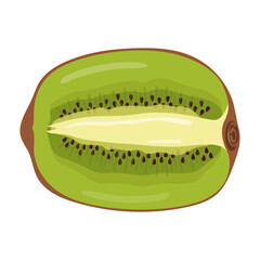 Ripe kiwi. Flat vector illustration of half kiwi fruit isolated on white background. 
