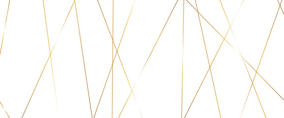 Luxury banner presentation gold line background, abstract white gray colors with gold lines pattern texture business background.