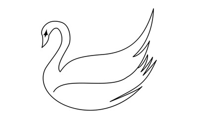 Obraz premium swan line art design 