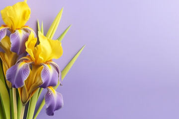 A bouquet of purple and yellow flowers against a purple background. Generative AI. Iris flowers, greeting card with copy space.