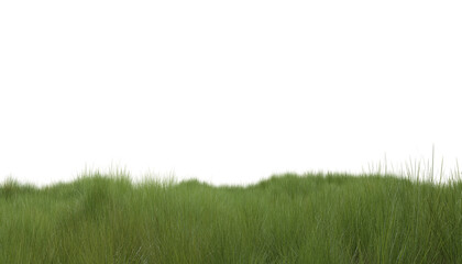 Fototapeta na wymiar Green grass field isolated on transparent background. A Versatile and Natural Design Element.