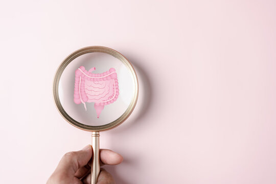 Magnifier focus to stomach with intestine virtual icon, probiotics food for gut health, intestine cancer, bowel inflammatory. Healthy care concept.