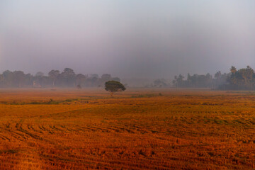 Sunrise in a field in Sri Lanka