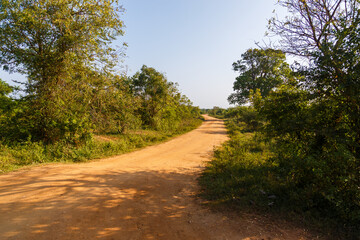 The road during safari in the national park in Sri Lanka